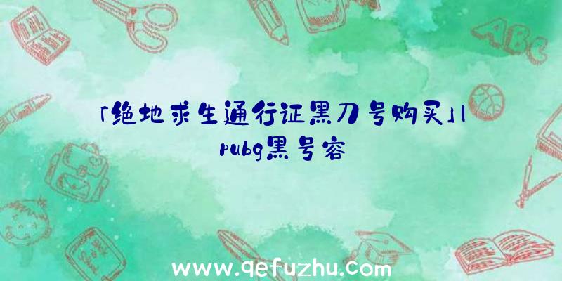 「绝地求生通行证黑刀号购买」|pubg黑号容